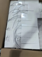 img_alibaba_1735544265_4.jpeg